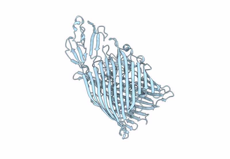 9RHR image