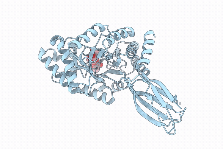 9RHV image