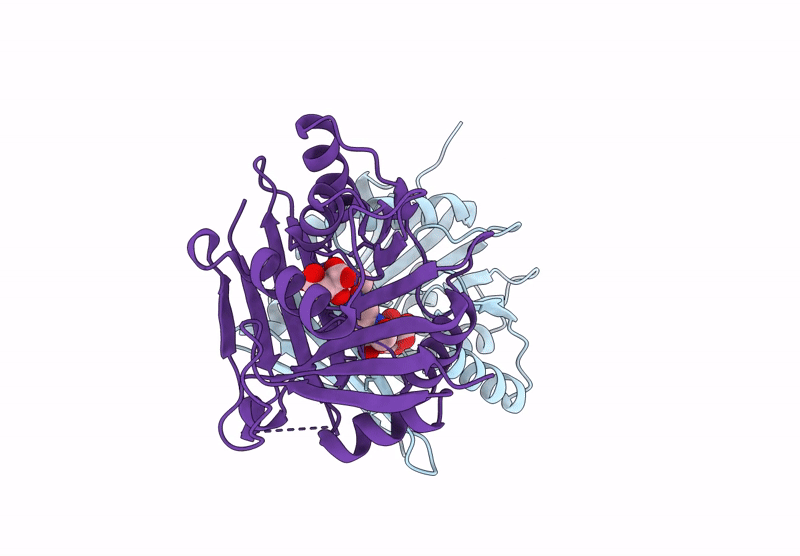 9RI2 image