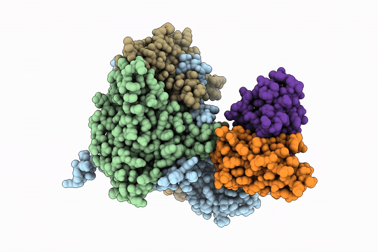 9RIQ image