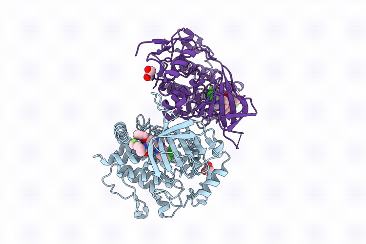 9RJ2 image