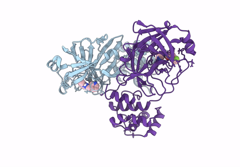9RJ7 image