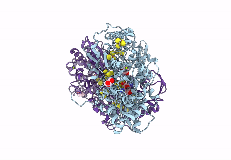 9RJ9 image