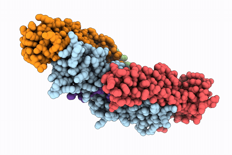 9RJB image