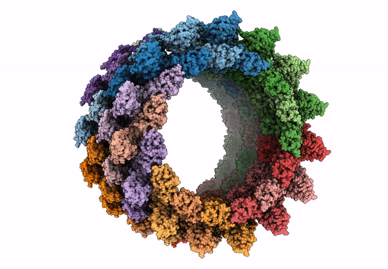 9RKT image