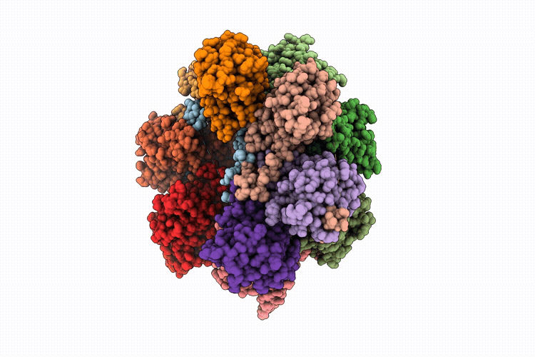 9RLA image