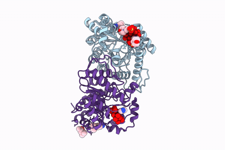 9RLB image