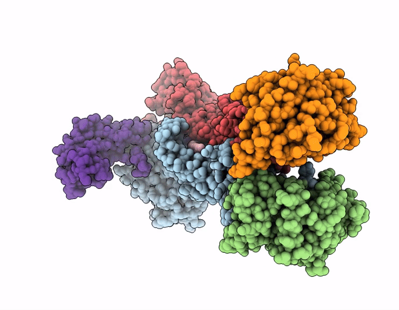 9RLI image