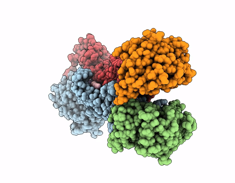 9RLK image