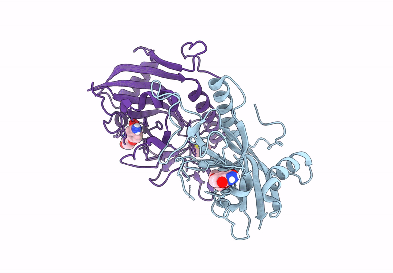 9RLO image