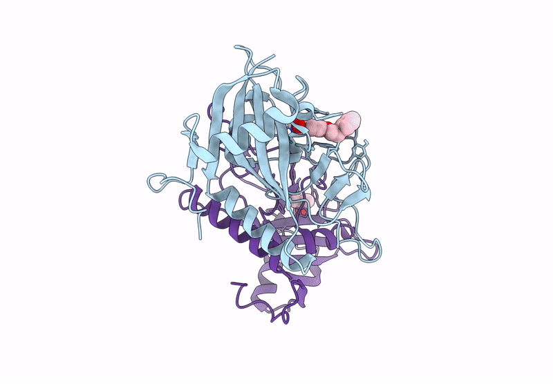 9RLQ image