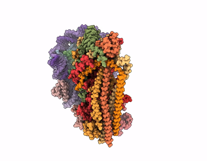 9RMC image
