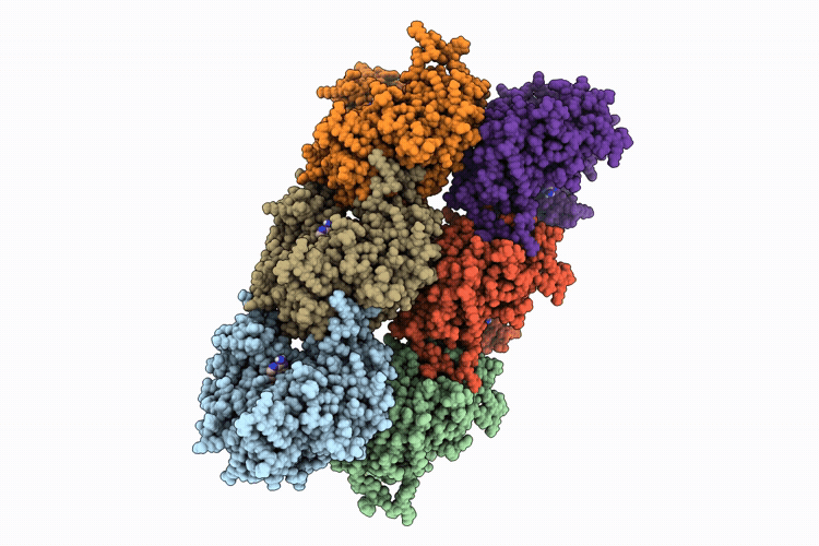 9RMI image