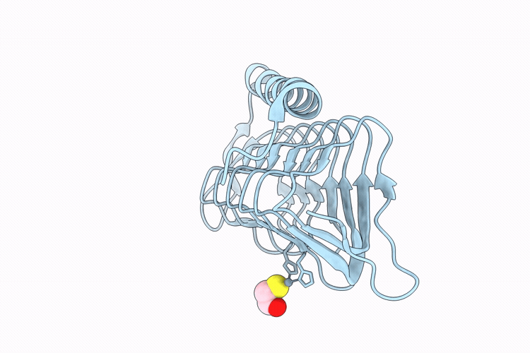 9RMQ image