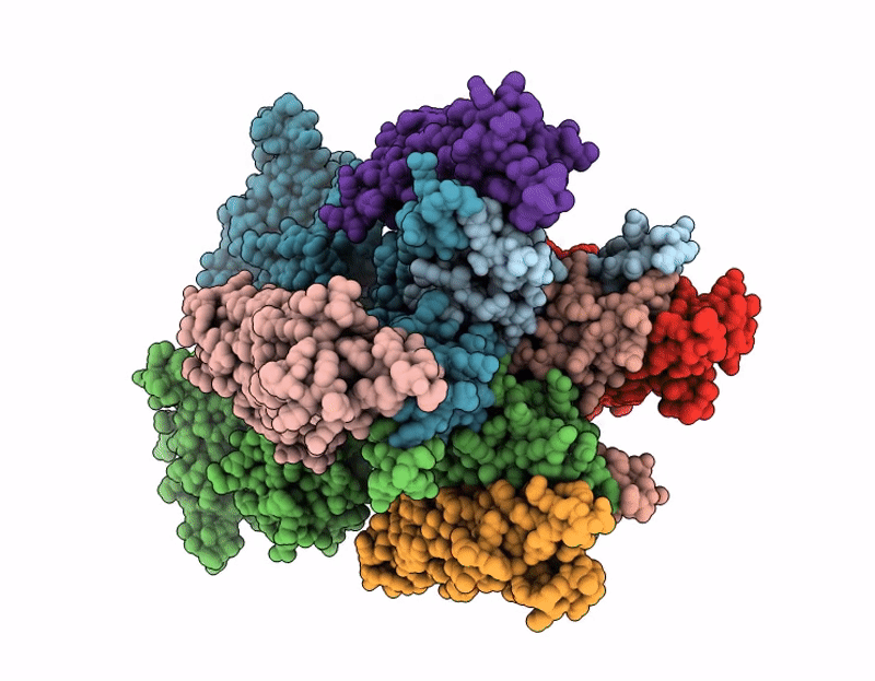 9RMS image