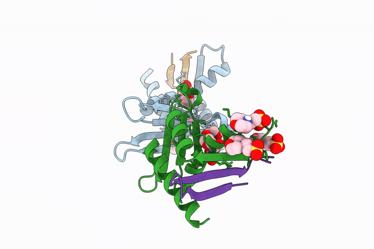 9RMV image