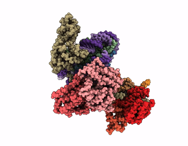9RN2 image