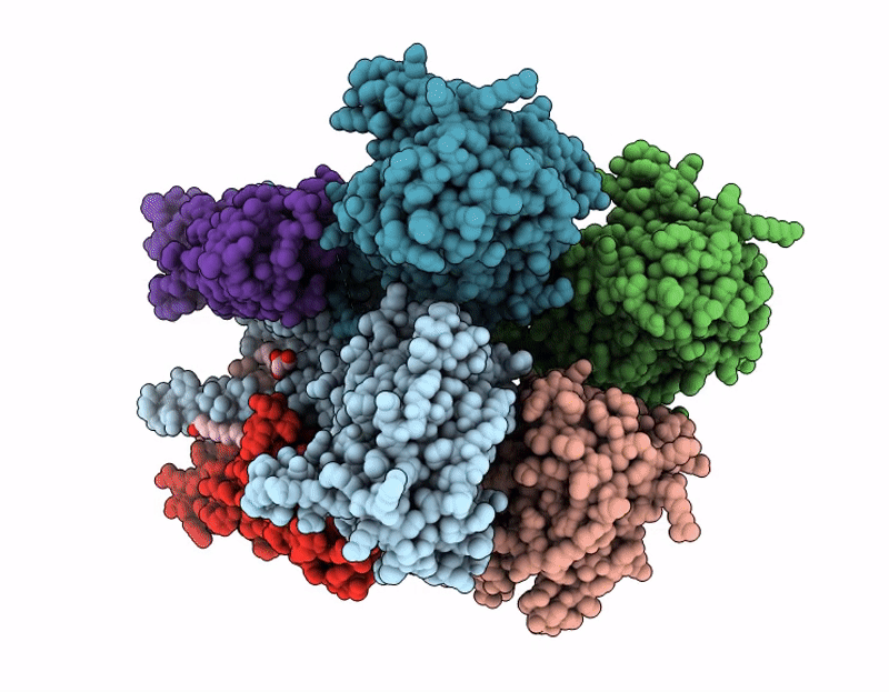 9RN4 image