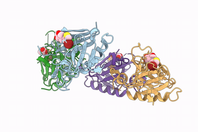 9RN5 image