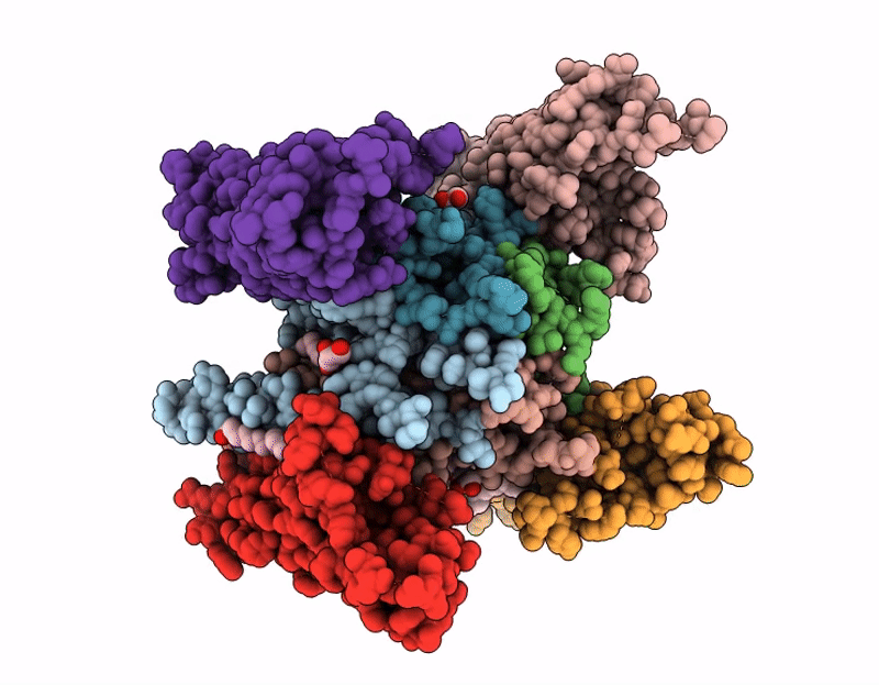 9RN7 image