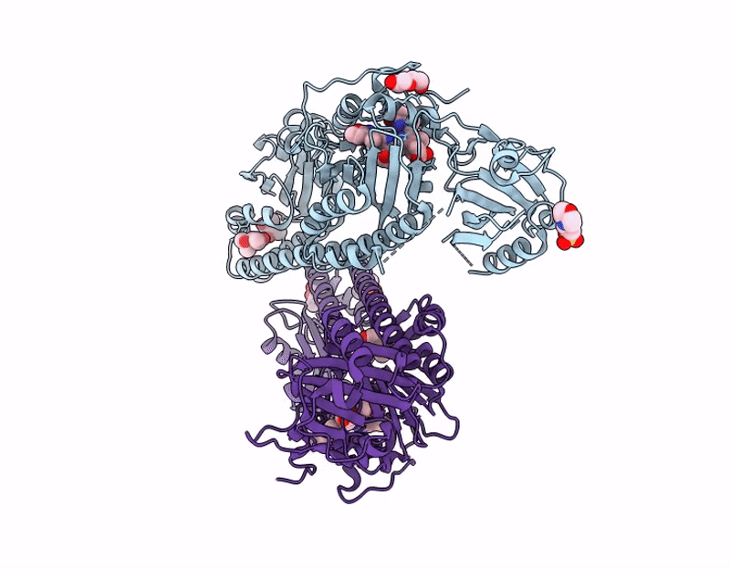 9RN8 image