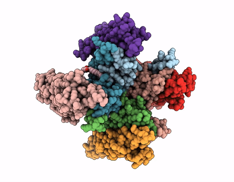 9RNH image
