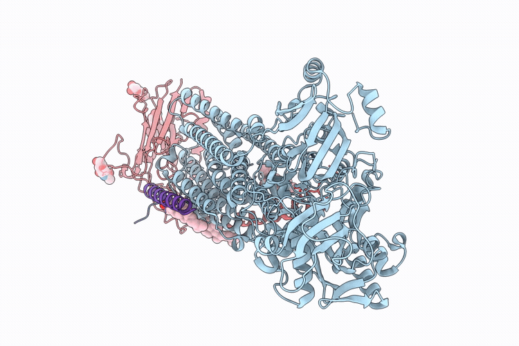 9ROL image