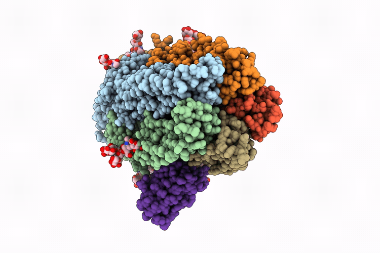 9RPB image