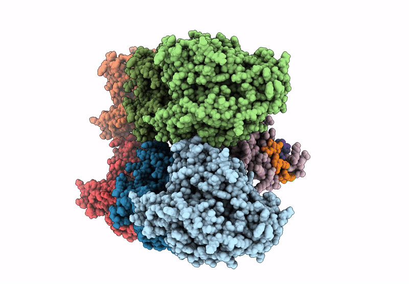 9RPD image
