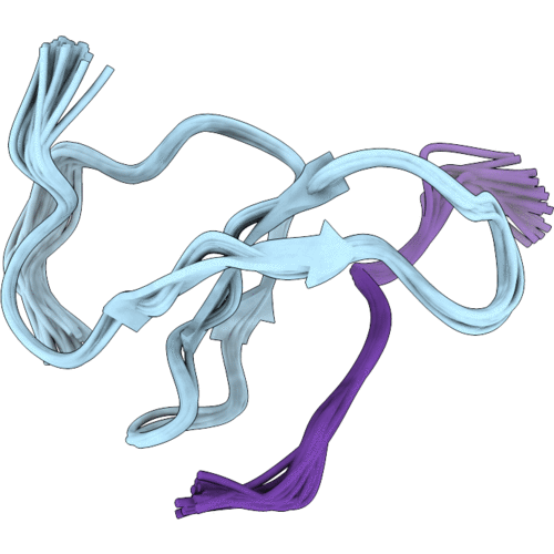 9RPN image