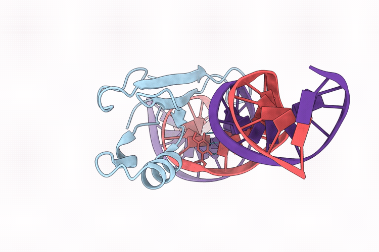 9RPP image