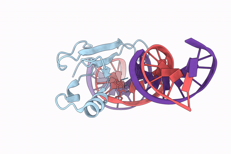 9RPQ image