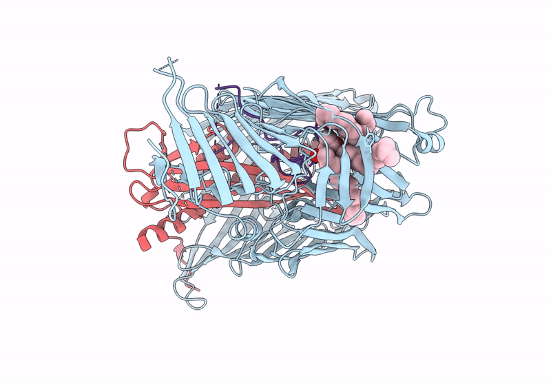 9RPR image