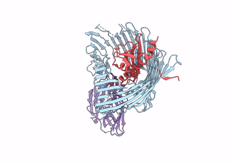 9RPT image