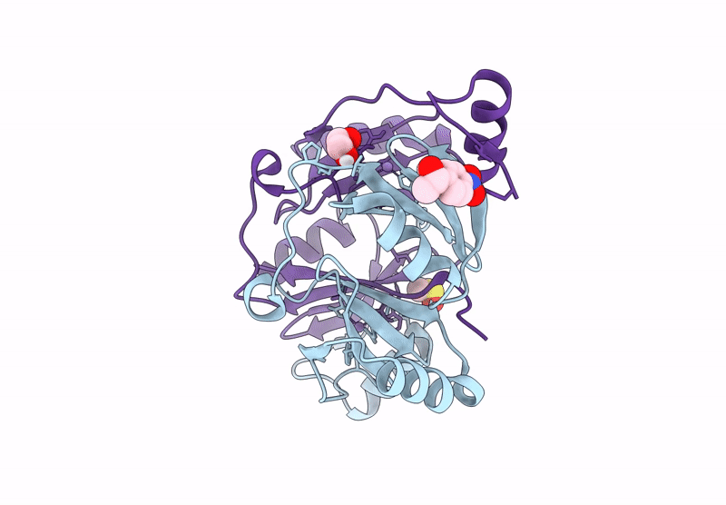 9RPX image