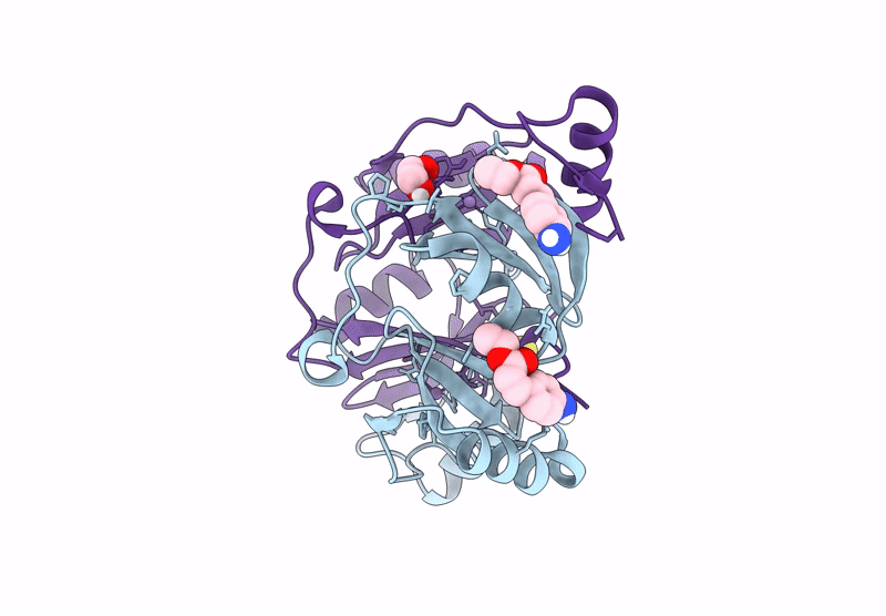 9RQF image