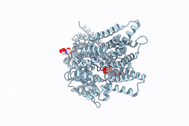 9RQM image