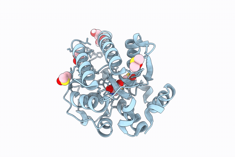 9RQP image