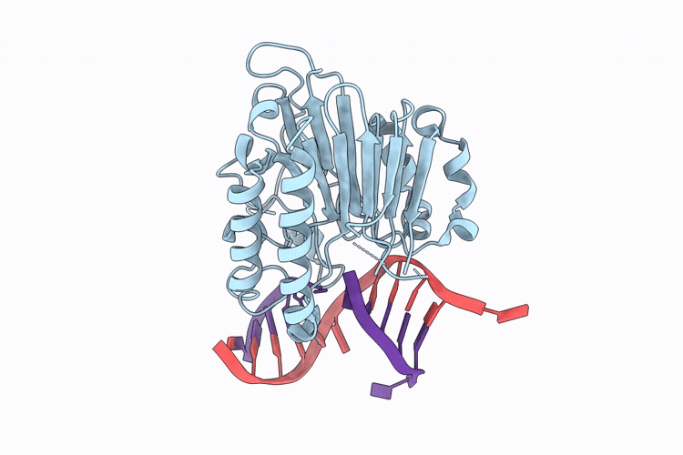 9RQS image