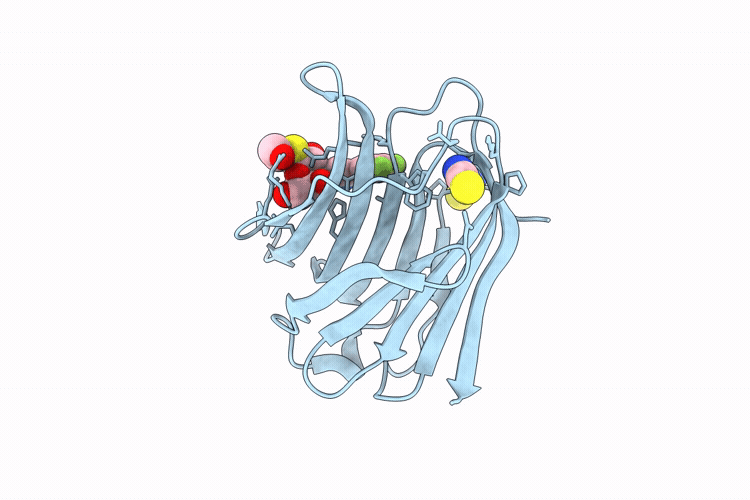 9RQV image