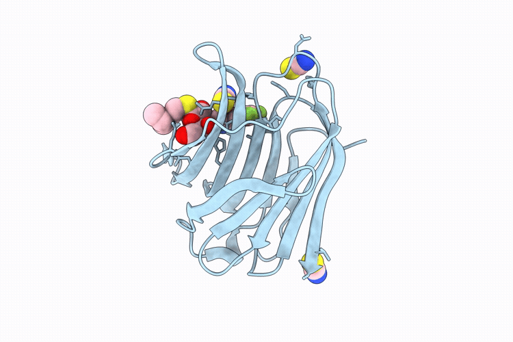 9RQX image
