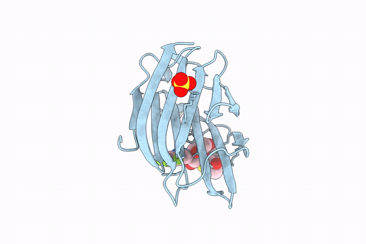 9RR8 image