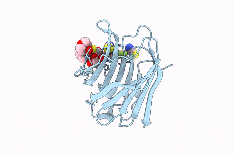 9RRA image