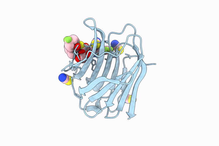 9RRB image