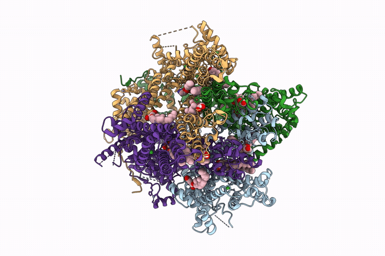 9RRO image
