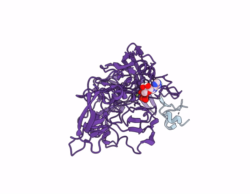 9RRS image