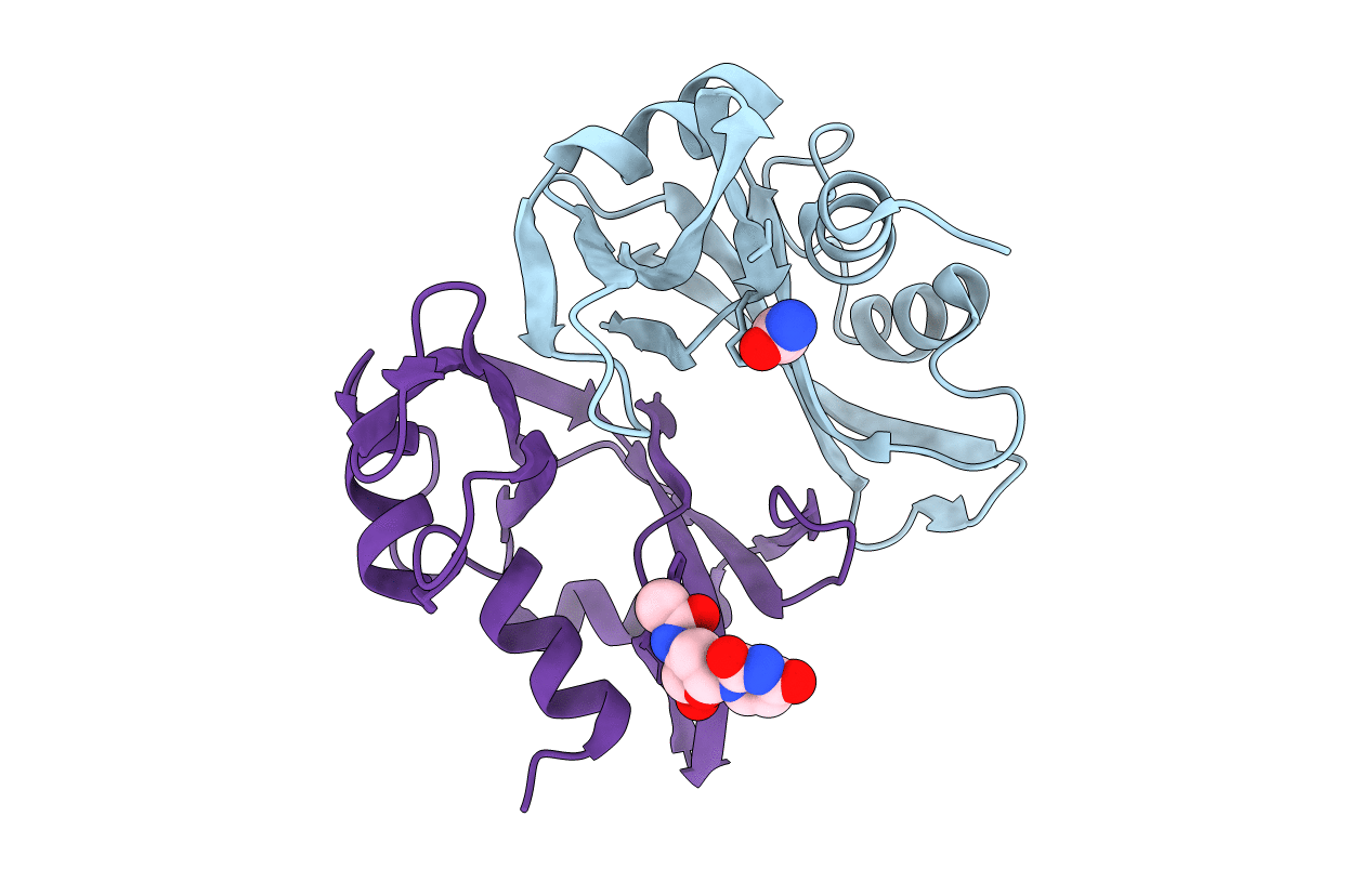 9RSA image