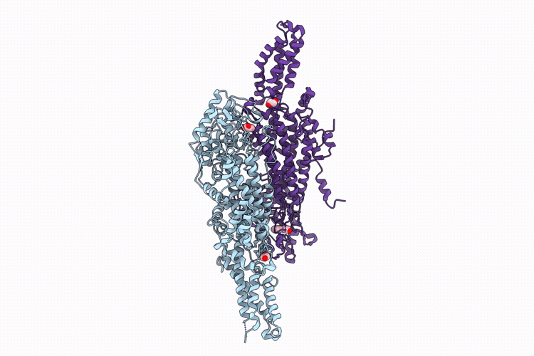 9RSB image