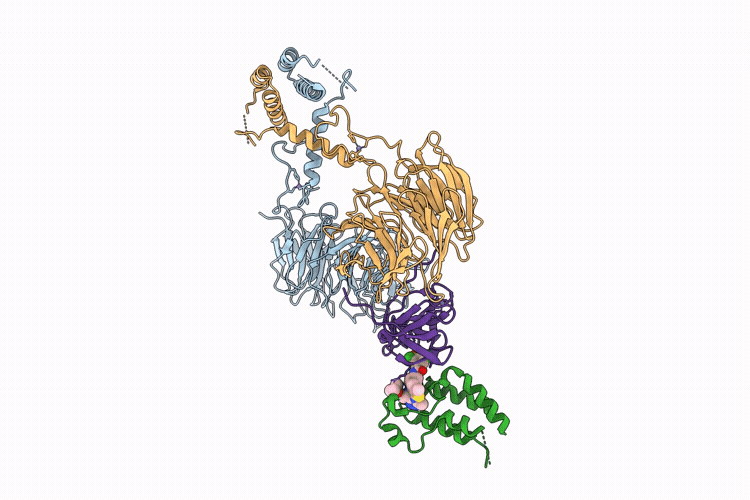 9RSC image