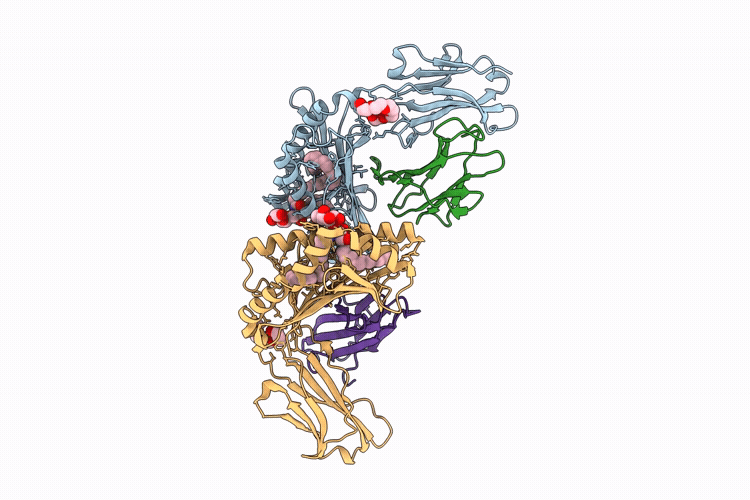 9RSE image